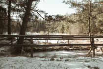 Moorteich im Winter von Holger Spieker