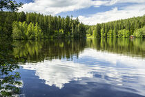 'A summer day at the lake II' von Susanne Fritzsche