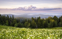 Sunset at mount Feldberg by Susanne Fritzsche