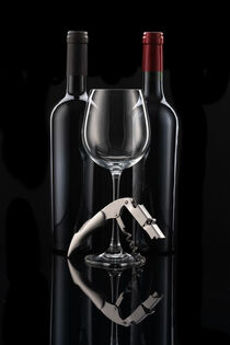 Weinflaschen Duo mit Weinbesteck von Thomas Klee