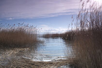 Am Achterwasser von Rolf Müller