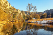 Die Donau im Durchbruchstal bei Fridingen - Naturpark Obere Donau von Christine Horn