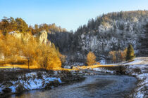 Uferlandschaft Donau mit Ruine Kallenberg - Naturpark Obere Donau von Christine Horn