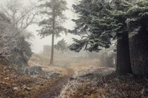 Burgruine Mägdeberg mit Nebel und Raureif - Mühlhausen-Ehingen von Christine Horn