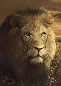 Lion Head - Löwenkopf von Erika Kaisersot