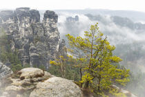 Nebel im Nationalpark Sächsische Schweiz von Holger Spieker