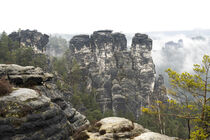 Die Gansfelsen in der Sächsischen Schweiz 3 von Holger Spieker