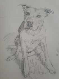 Doris the cross -Staffordshire  by Sarah K Murphy