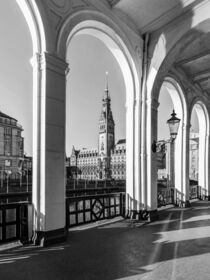 Alsterarkaden und Rathaus in Hamburg - Monochrom von dieterich-fotografie