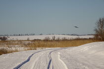 Winterlandschaft mit Vogel  by jivan21