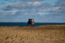 Forststand am Bodden II von jivan21