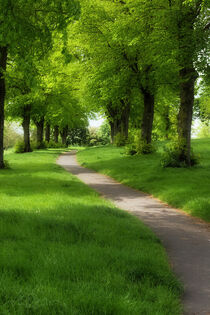 'The Lush Greens Of Spring' von CHRISTINE LAKE