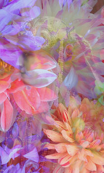 Flower Fairy Double Exposure Fantasy Art von Sandy Richter