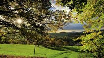 Stimmungsvoller Blick von Christiane Fendrich