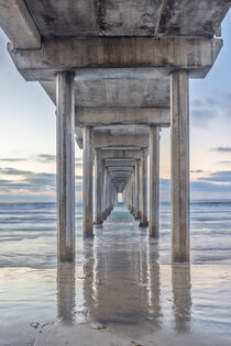 USA, California, La Jolla, Scripps Pier. Rob Tilley / Danita Delimont.