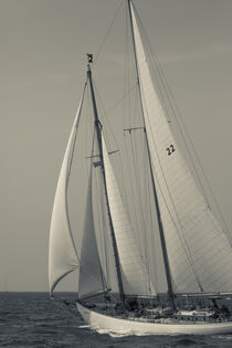 Massachusetts, Gloucester. America's oldest seaport. Schooner Festival. Walter Bibikow / Danita Delimont by Danita Delimont