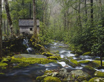 Watermill by stream in forest. Great Smoky Mountains National Park, Tennessee. Adam Jones / Danita Delimont von Danita Delimont