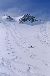 Skier enjoying the backcountry in the Wasatch, Utah. Howie Garber / Danita Delimont von Danita Delimont