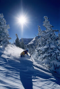 Skiing at Snowbird Resort, Wasatch Mountains, Utah. James Kay / Danita Delimont von Danita Delimont