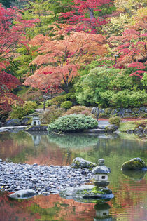 Washington State, Seattle. Arboretum Japanese Garden. Rob Tilley / Danita Delimont by Danita Delimont