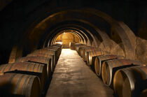 Barrel aging cellar. Chateau Mourgues du Gres Gres, Costieres de Nimes, Bouches du Rhone, Provence. Per Karlsson / Danita Delimont von Danita Delimont