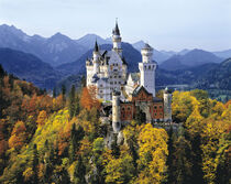 Neuschwanstein Castle, one of three built by King Ludwig II in Bavaria, Germany. Ric Ergenbright / Danita Delimont von Danita Delimont