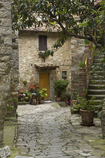 Italy, Tuscany. Quaint village lane in Montefiorale. Brenda Tharp / Danita Delimont. von Danita Delimont