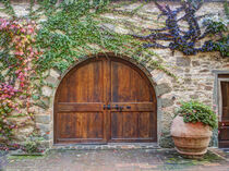 Europe, Italy. Castello D'Albola estate in the Chianti region of Tuscany. Julie Eggers / Danita Delimont. by Danita Delimont