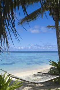 Cook Islands, Rarotonga. Beach hammock. Michael DeFreitas / Danita Delimont von Danita Delimont