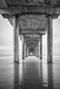 USA, California, La Jolla, Scripps Pier, Sunrise von Danita Delimont