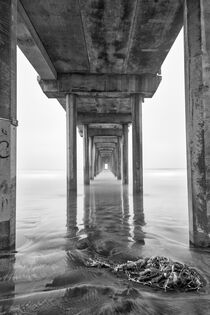 USA, California, La Jolla, Scripps Pier, Sunrise. Smooth water results from slow shutter speed. by Danita Delimont