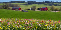 Charming Old Farmhouses Amidst Serene Countryside von Luigi Petro