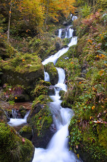 Wasserfall im Schwarzwald, Triberg von Heiko Esch