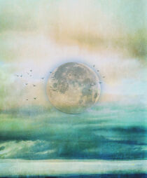 The moon von Anne Seltmann