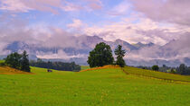 Almwiese im Allgäu by Heiko Esch