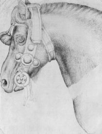 Head of a horse by Antonio Pisanello