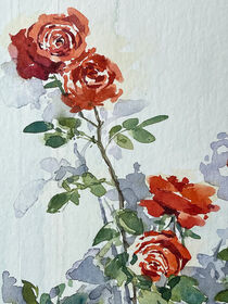 rote Rosen by Sonja Jannichsen