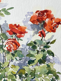 rote Rosen von Sonja Jannichsen