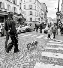 Strolling In Paris