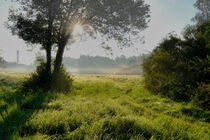 Nebel in der Landschaft by Rolf Müller