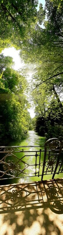 Sommer am Eisbach in München von Heike Jäschke