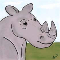The Happy Rhino