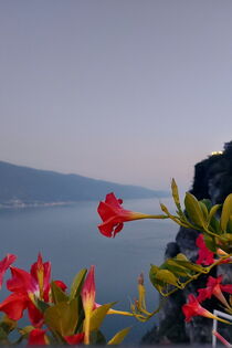 Blumen Italien Gardasee Blick von Pieve von m-j-artgallery