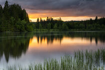 Sonnenuntergang im Schwarzwald - Sunset in the Black Forest von Susanne Fritzsche