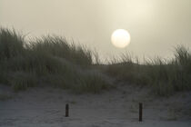 Dünen im Sonnenaufgang von Stephan Zaun