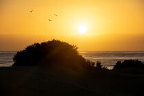 Sonnenaufgang über den Dünen am Meer 