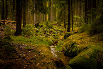 'Holzbrücke im dunklen Fichtenwald' by Holger Spieker