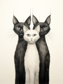 Katzen No.7 von Bettina Dittmann