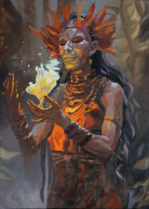 Flame Shaman: Rituals of Fire von Cornelia Es Said