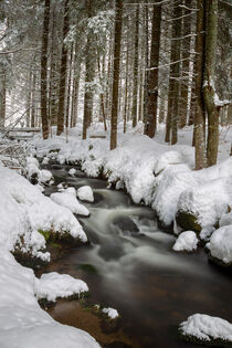 Bach im Winter by Dirk Rüter